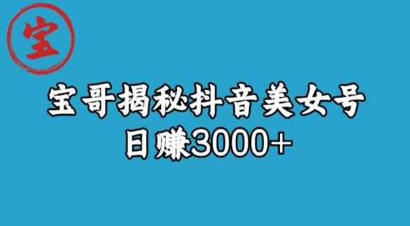 宝哥揭秘抖音美女号玩法，日赚3000+【揭秘】-无痕资源库