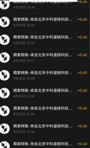 接码无限撸红包一分钟0.6无脑操作一天保底利润200-无痕资源库