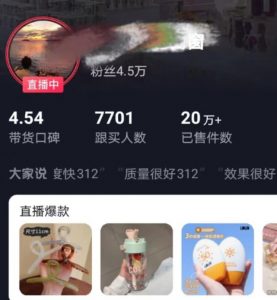 全新的蓝海赛道，抖音一元直播，不用囤货，不用出镜，照读话术也能20w+月销量【揭秘】-无痕资源库