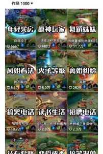 副业拆解：抖音王者荣耀游戏变现副业项目，视频版一条龙实操玩法分享给你-无痕资源库