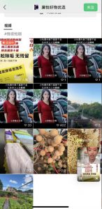 外面收费198的最新视频号连怼技术，条条原创，条条爆单【揭秘】-无痕资源库