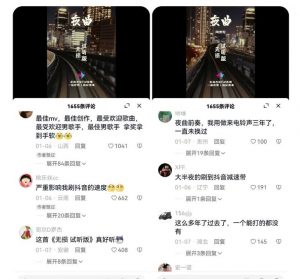 副业拆解:抖音杰伦音乐号涨粉变现项目,视频版一条龙实操玩法分享给你-无痕资源库