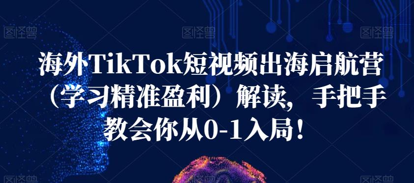 海外TikTok短视频出海启航营(学习精准盈利)解读,手把手教会你从0-1入局!-无痕资源库