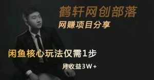 闲鱼核心玩法不卖货也能1年变现20W，玩法简单-无痕资源库