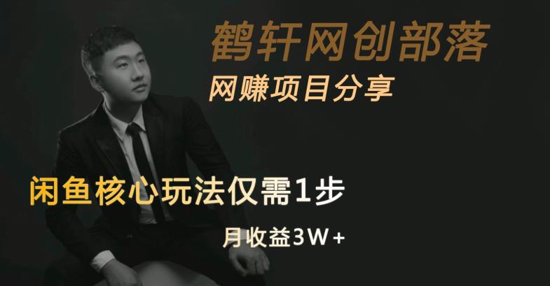 闲鱼核心玩法不卖货也能1年变现20W，玩法简单-无痕资源库