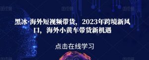 黑冰·海外短视频带货,2023年跨境新风口,海外小黄车带货新机遇-无痕资源库