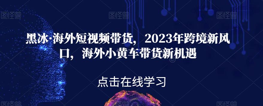 黑冰·海外短视频带货,2023年跨境新风口,海外小黄车带货新机遇-无痕资源库