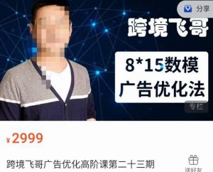 跨境飞哥·广告优化高阶课第二十三期,8*15数模广告优化法,用数据驱动决策-无痕资源库