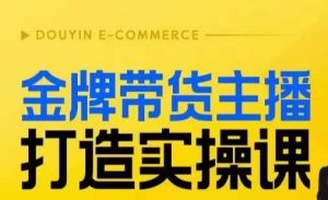 金牌带货主播打造实操课，直播间小公主丹丹老师告诉你，百万主播不可追，高效复制是王道！-无痕资源库
