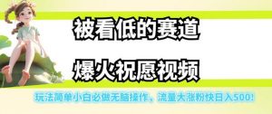 被看低的赛道爆火祝愿视频,玩法简单小白必做无脑操作,流量大涨粉快日入500-无痕资源库