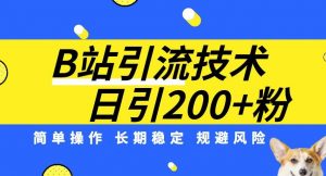 B站引流技术：每天引流200精准粉，简单操作，长期稳定，规避风险-无痕资源库