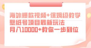 海外爆款视频+保姆级教学，壁纸号项目最新玩法，月入10000+教你一步到位【揭秘】-无痕资源库