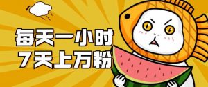 暴力涨粉项目：每天一小时，七天上万粉【揭秘】-无痕资源库