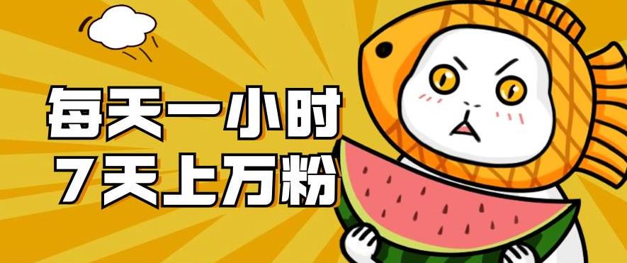 暴力涨粉项目：每天一小时，七天上万粉【揭秘】-无痕资源库