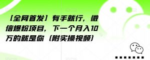 【全网首发】有手就行，微信爆粉项目，下一个月入10万的就是你（附实操视频）【揭秘】-无痕资源库