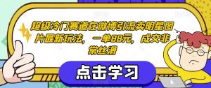 超级冷门赛道在微博引流卖明星图片最新玩法，一单88元，成交非常丝滑【揭秘】-无痕资源库