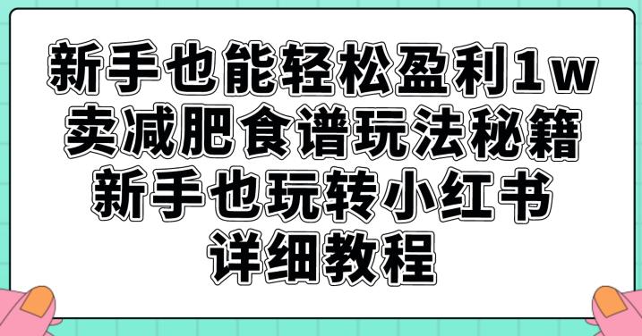 新手也能轻松盈利1w，卖减肥食谱玩法秘籍，新手也玩转小红书详细教程【揭秘】-无痕资源库