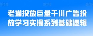 老猫投放巨量千川广告投放学习实操系列基础逻辑-无痕资源库