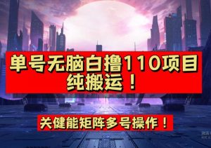 9月全网首发，单号直接白撸110！可多号操作，无脑搬运复制粘贴【揭秘】-无痕资源库