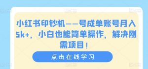 小红书印钞机——号成单账号月入5k+，小白也能简单操作，解决刚需项目【揭秘】-无痕资源库