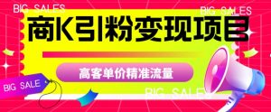 商K引粉变现项目，高客单价精准流量【揭秘】-无痕资源库