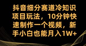 抖音细分赛道冷知识项目玩法，10分钟快速制作一个视频，新手小白也能月入1W+【揭秘】-无痕资源库