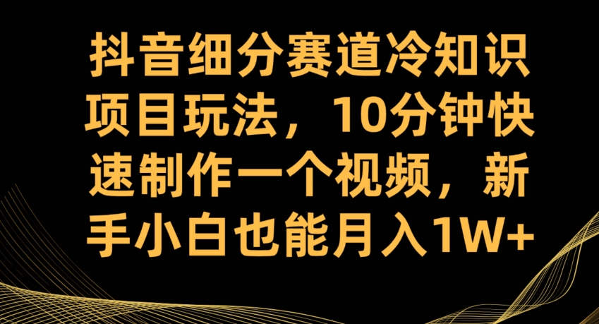 抖音细分赛道冷知识项目玩法，10分钟快速制作一个视频，新手小白也能月入1W+【揭秘】-无痕资源库