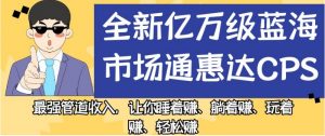 全新亿万级蓝海市场通惠达cps，最强管道收入，让你睡着赚、躺着赚、玩着赚、轻松赚【揭秘】-无痕资源库