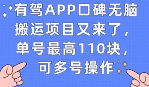 有驾APP口碑无脑搬运项目又来了，单号最高110块，可多号操作-无痕资源库