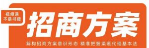 王昕招商方案,解构招商方案意识形态,精准把握渠道代理基本法-无痕资源库