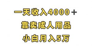 一天收入4000+，靠卖成人用品，小白轻松月入5万【揭秘】-无痕资源库