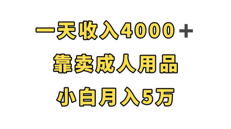 一天收入4000+,靠卖成人用品,小白轻松月入5万【揭秘】-无痕资源库
