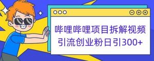 哔哩哔哩项目拆解引流创业粉日引300+小白可轻松上手【揭秘】-无痕资源库