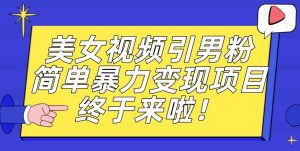价值3980的男粉暴力引流变现项目，一部手机简单操作，新手小白轻松上手，每日收益500+【揭秘】-无痕资源库