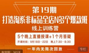 打造淘系非标全店N多个爆款线上课,5天直播课-无痕资源库