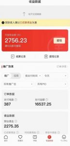 拼多多无人直播不封号玩法，0投入，3天必起，日入1000+-无痕资源库