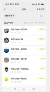 卖古籍电子书，作品只需要简单的图片去重，高客单价高利润，月入五位轻轻松松-无痕资源库