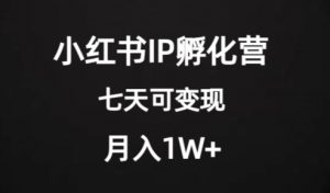 价值2000+的小红书IP孵化营项目,超级大蓝海,七天即可开始变现,稳定月入1W+-无痕资源库