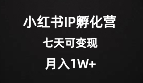 价值2000+的小红书IP孵化营项目,超级大蓝海,七天即可开始变现,稳定月入1W+-无痕资源库