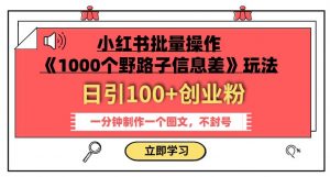 小红书批量操作《1000个野路子信息差》玩法，一分钟制作一个图文，不封号，日引100+创业粉-无痕资源库