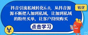 抖音引流私域转化6.0,从抖音源源不断把人加到私域,让加到私域的粉丝买单,让客户持续购买-无痕资源库