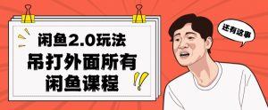 闲鱼2.0玩法单号每天日入2000，吊打市面所有课程-无痕资源库