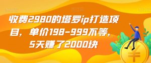 收费2980的塔罗ip打造项目，单价198-999不等，5天赚了2000块【揭秘】-无痕资源库