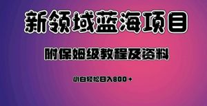 虚拟资源蓝海领域新项目，轻松日入800＋，附保姆级教程及资料-无痕资源库