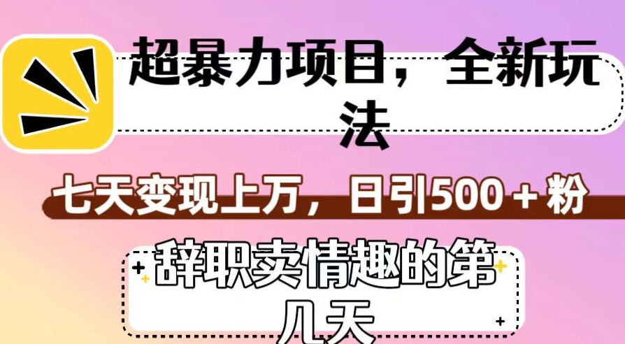 超暴利项目，全新玩法（辞职卖情趣的第几天），七天变现上万，日引500+粉【揭秘】-无痕资源库