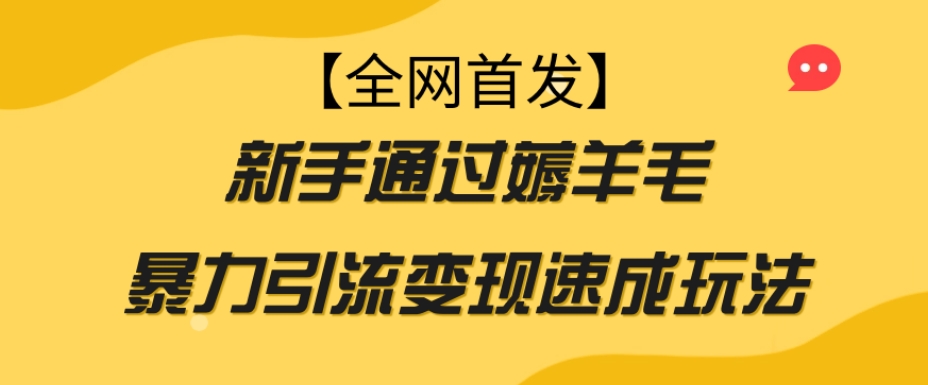 【全网首发】新手通过薅羊毛暴力引流变现速成玩法-无痕资源库