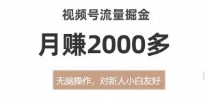 视频号流量掘金，无脑操作，对新人小白友好，月赚2000多【揭秘】-无痕资源库