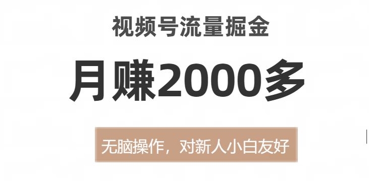 视频号流量掘金，无脑操作，对新人小白友好，月赚2000多【揭秘】-无痕资源库