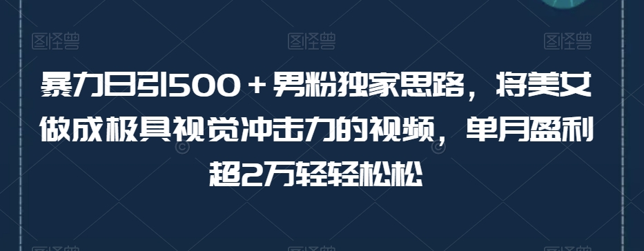 暴力日引500＋男粉独家思路，将美女做成极具视觉冲击力的视频，单月盈利超2万轻轻松松-无痕资源库