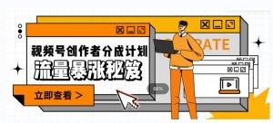 一条视频收益3000+，一条作品涨粉2000+，视频号流量爆炸·的秘籍-无痕资源库